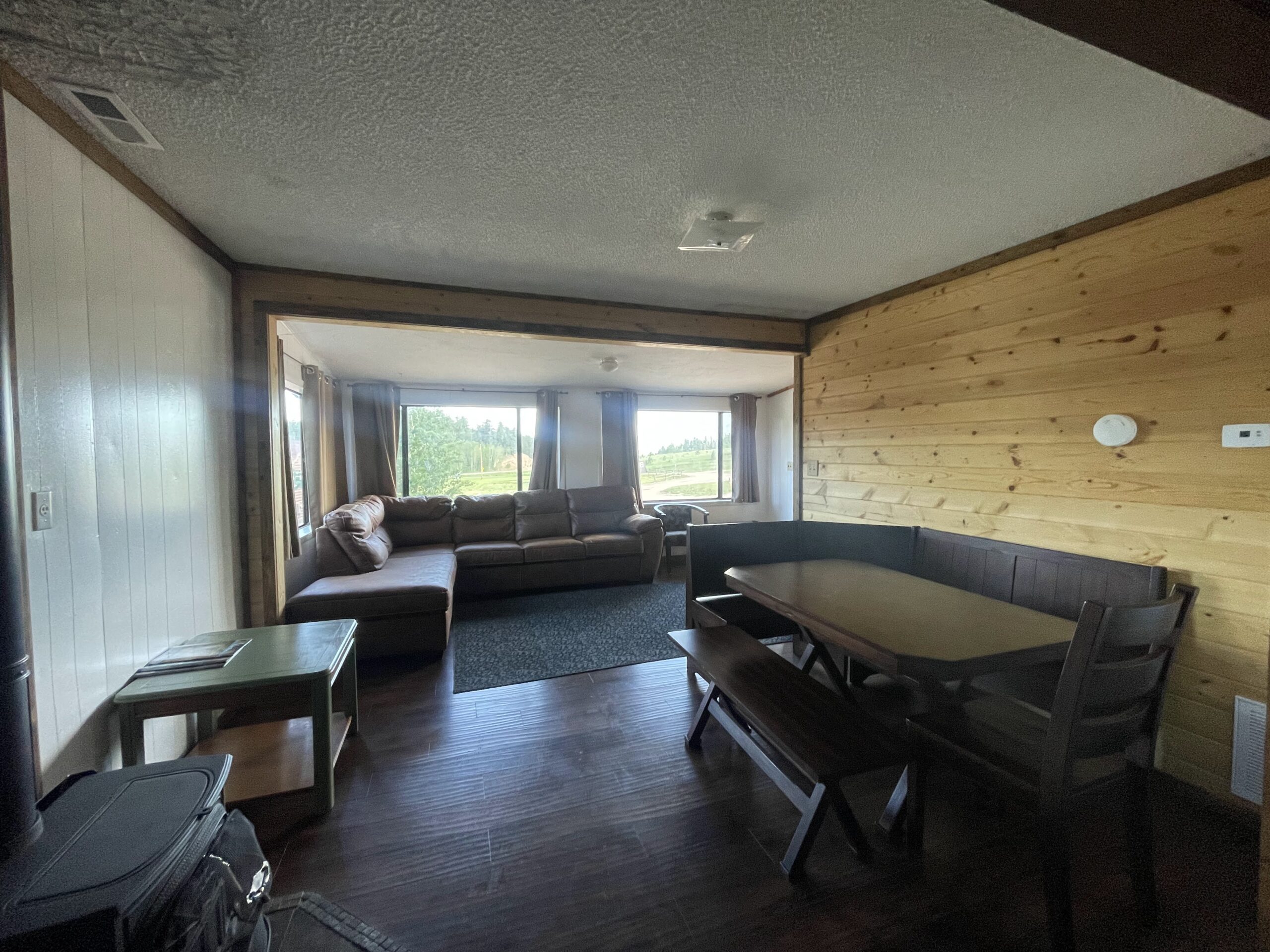 aspen cabin living + dining room