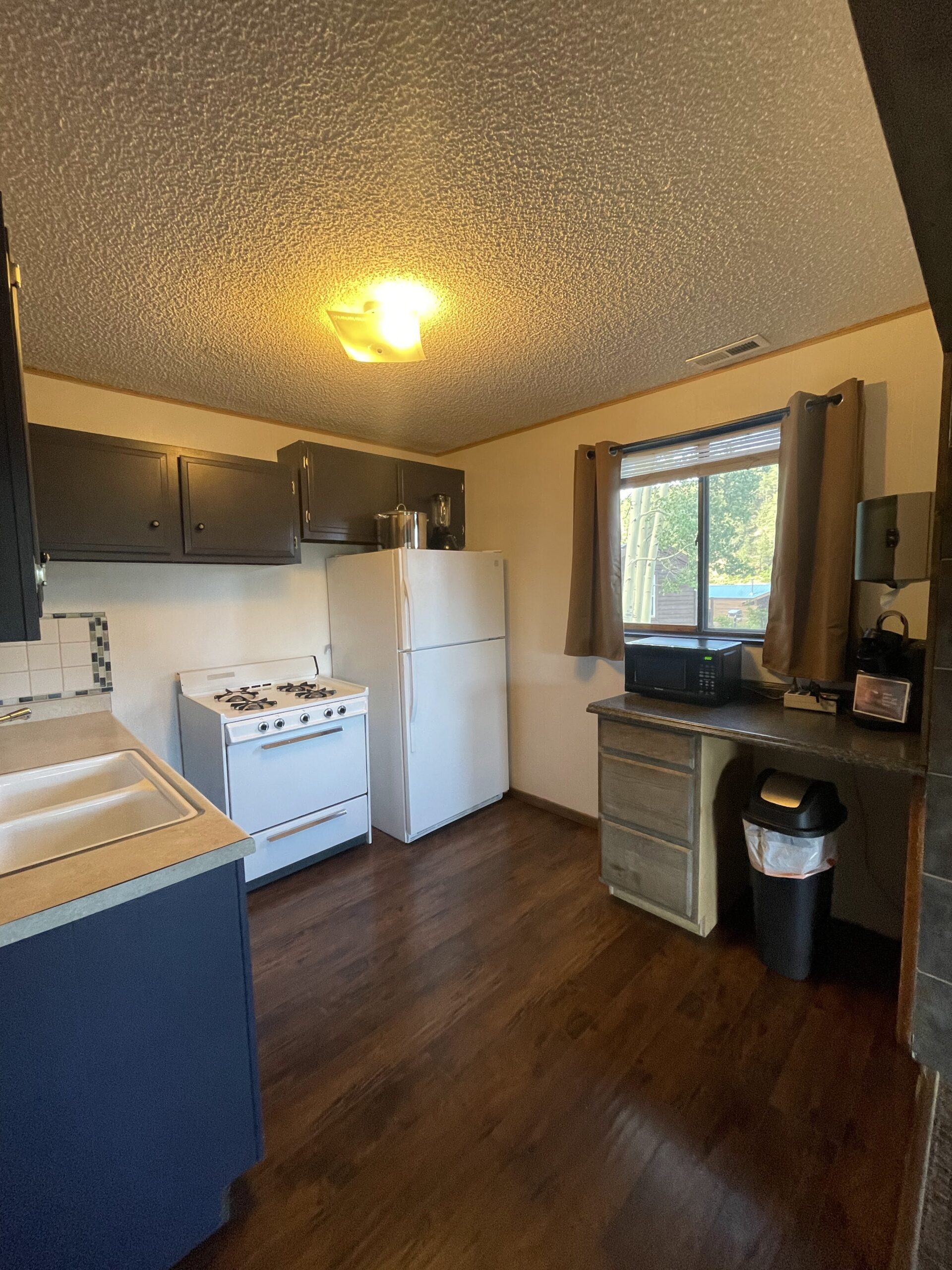 aspen cabin kitchen side view